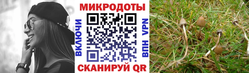Псилоцибиновые грибы Magic Shrooms где можно купить Унеча